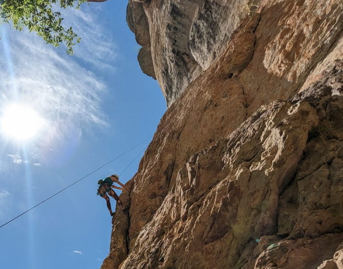Un grimpeur escaladant une falaise abrupte, avec un ciel bleu et des branches d'arbres visibles en arrière-plan.